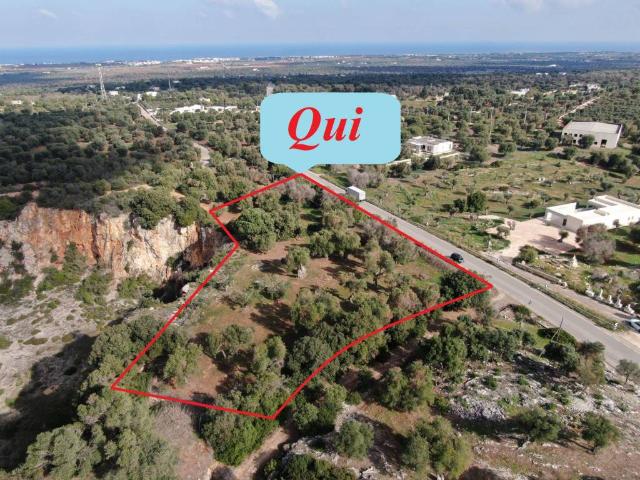 Terreno in vendita a Puglia, Brindisi