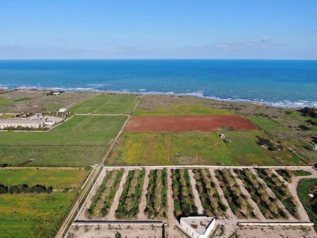 Terreno in vendita a Puglia, Brindisi