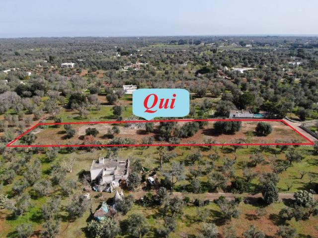 Terreno in vendita a Puglia, Brindisi