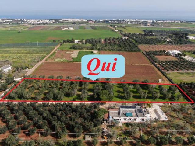 Terreno in vendita a Pantanagianni, Puglia