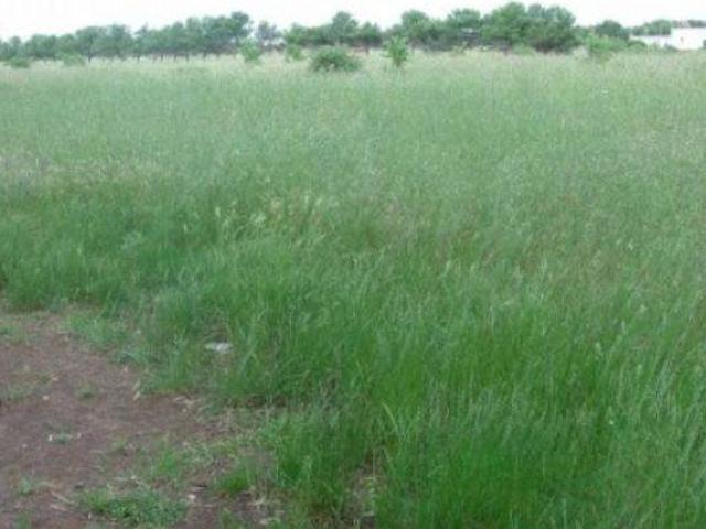 Terreno in vendita a Carovigno, Brindisi