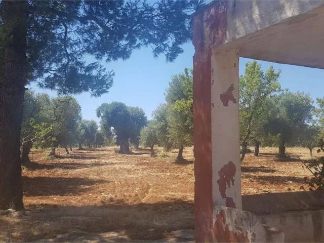 Terreno in vendita a Contrada Spierti, Puglia