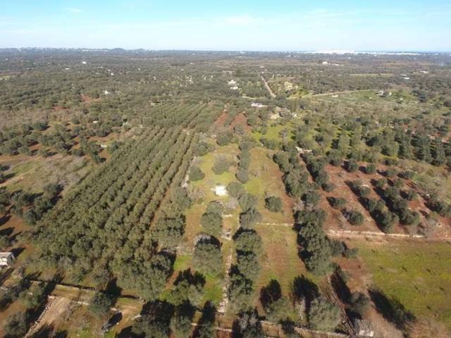 Terreno in vendita a Puglia, Brindisi