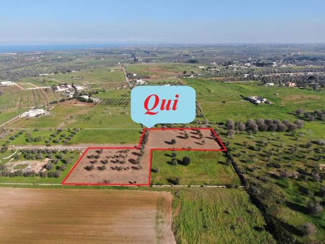 Terreno in vendita a Puglia, Brindisi