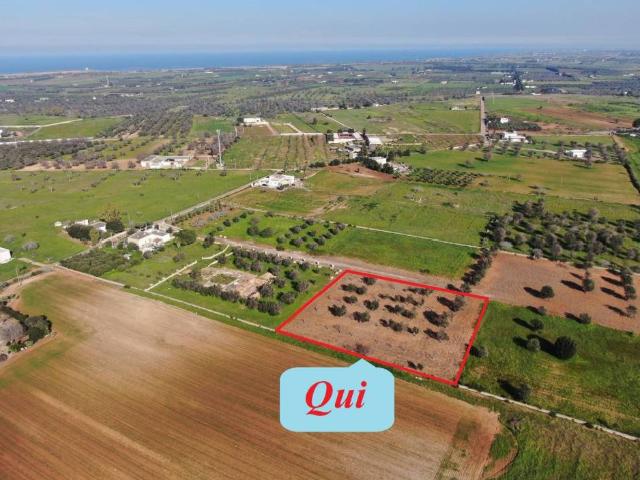 Terreno in vendita a Puglia, Brindisi
