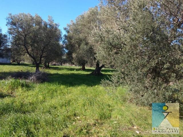 Terreno in vendita a Puglia, Brindisi