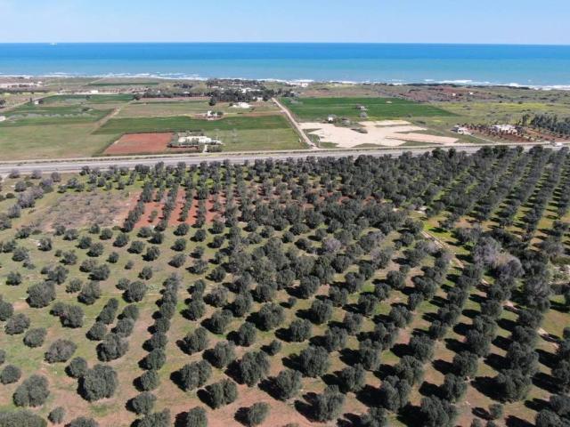Terreno in vendita a Puglia, Brindisi