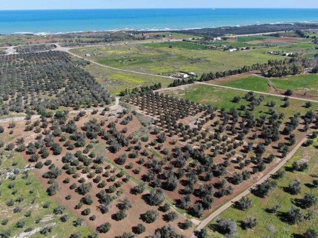 Terreno in vendita a Puglia, Brindisi