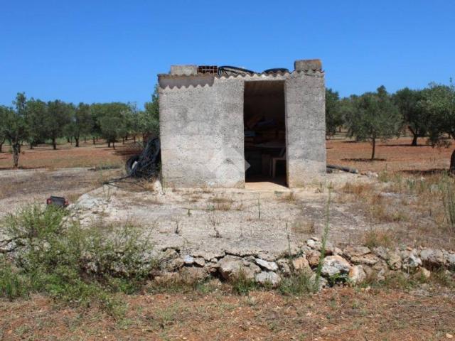 Terreno in vendita a Puglia, Brindisi
