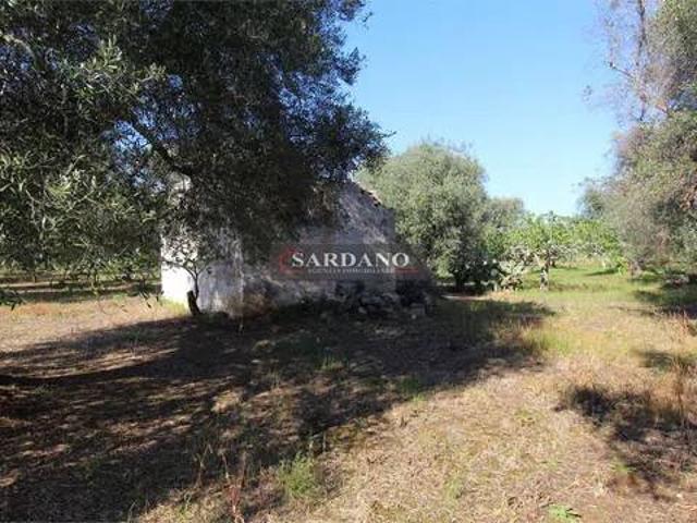 Terreno in vendita a Serranova, Carovigno