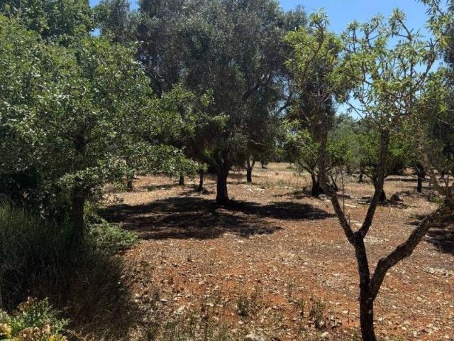 Terreno in vendita a Puglia, Brindisi
