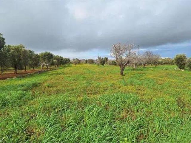 Terreno in vendita a Carovigno, Brindisi