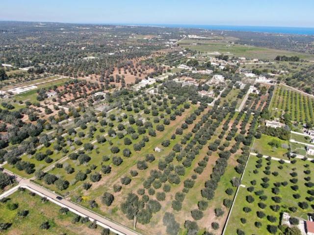 Terreno in vendita a Puglia, Brindisi