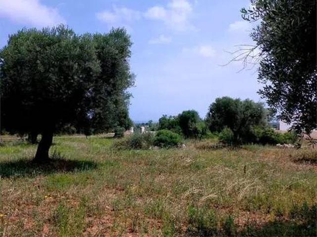 Terreno in vendita a Carovigno, Brindisi