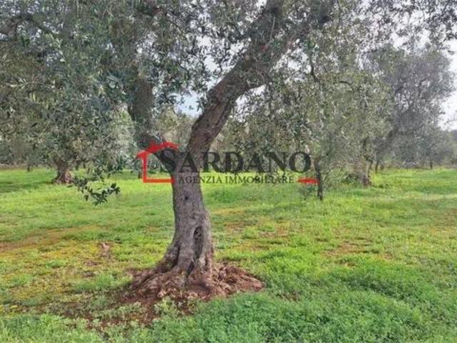 Terreno in vendita a Carovigno, Brindisi