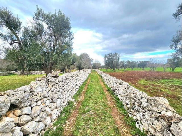 Terreno in vendita a Puglia, Brindisi