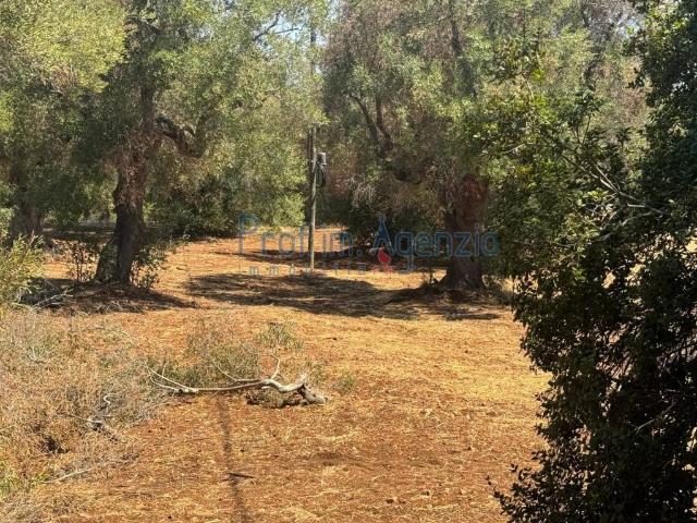 Terreno in vendita a Puglia, Brindisi