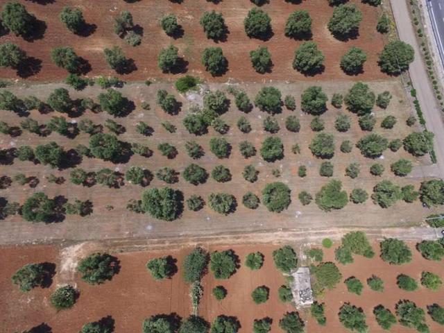Terreno in vendita a Puglia, Brindisi