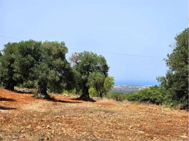 Terreno in vendita a Puglia, Brindisi