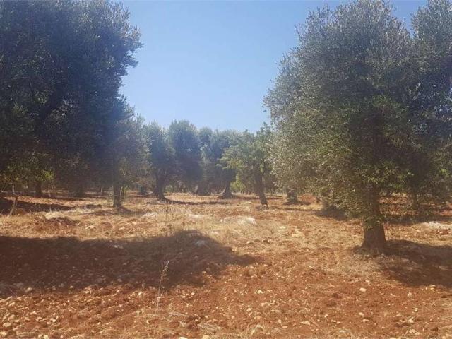Terreno in vendita a Contrada Spierti, Puglia
