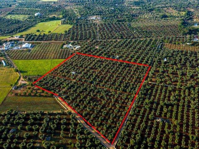 Terreno in vendita a Puglia, Brindisi