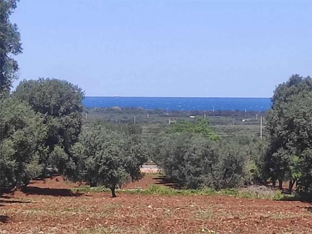 Terreno in vendita a Puglia, Brindisi