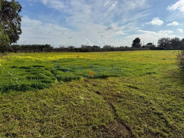 Terreno in vendita a Puglia, Brindisi