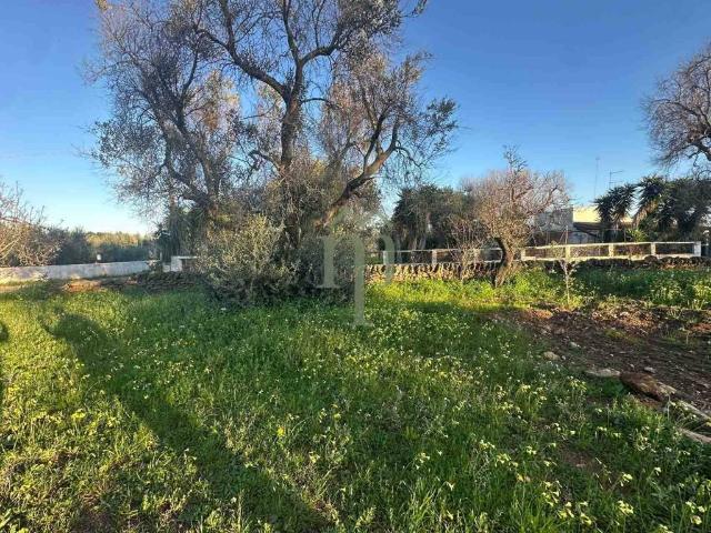Terreno in vendita a Puglia, Brindisi