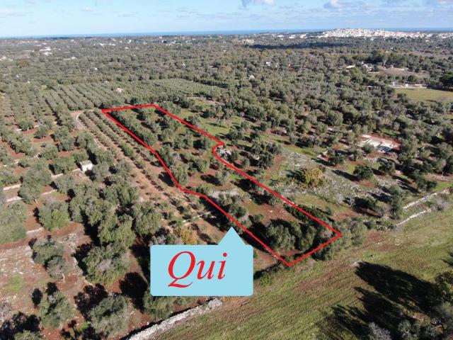 Terreno in vendita a Puglia, Brindisi