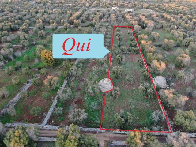 Terreno in vendita a Puglia, Brindisi