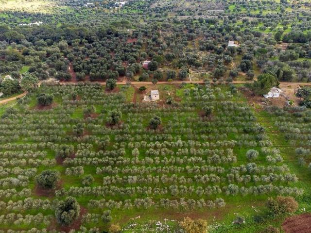 Terreno in vendita a Puglia, Brindisi
