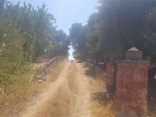Terreno in vendita a Contrada Spierti, Puglia
