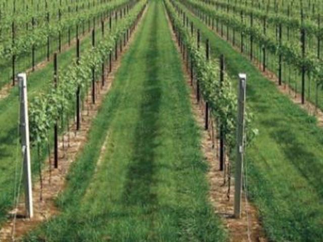 Terreno in vendita a Unione delle Terre d'Argine, Carpi