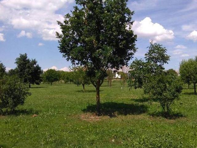 Terreno in vendita a Unione delle Terre d'Argine, Carpi