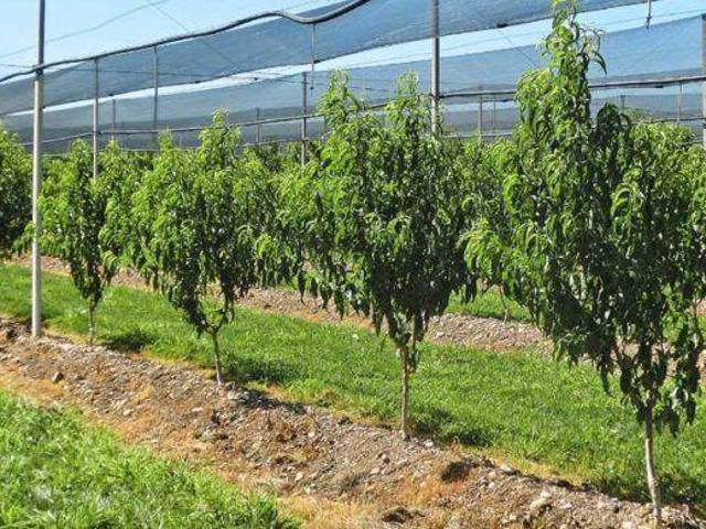 Terreno in vendita a Unione delle Terre d'Argine, Carpi