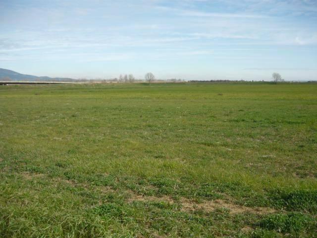 Terreno in vendita a Unione delle Terre d'Argine, Carpi