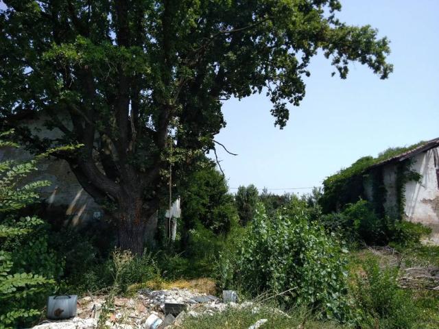 Terreno in vendita a Unione delle Terre d'Argine, Carpi
