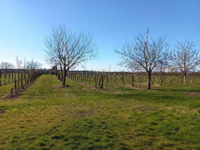 Terreno in vendita a Unione delle Terre d'Argine, Carpi