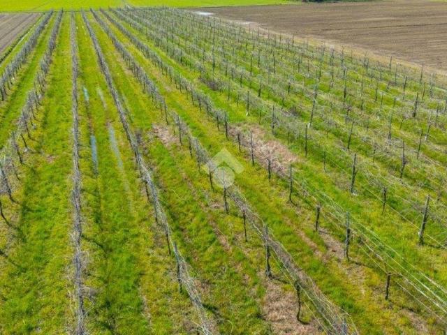 Terreno in vendita a Cibeno Pile, Carpi