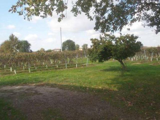 Terreno in vendita a Unione delle Terre d'Argine, Carpi
