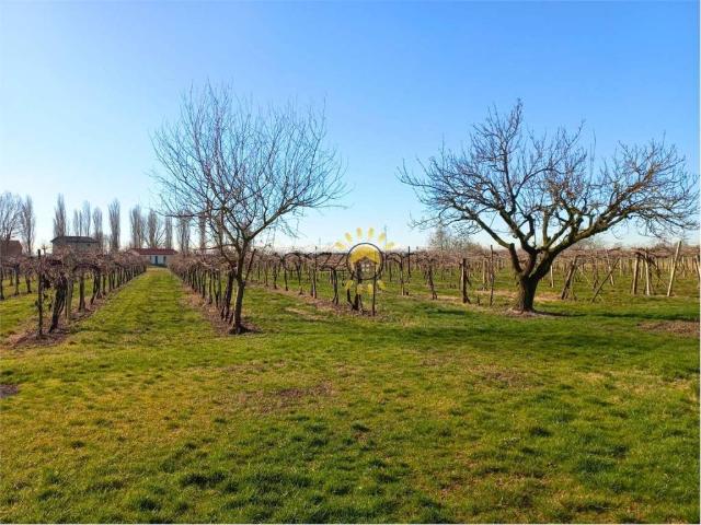 Terreno in vendita a Unione delle Terre d'Argine, Carpi