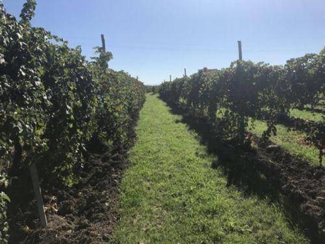 Terreno in vendita a Unione delle Terre d'Argine, Carpi