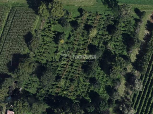 Terreno in vendita a Pianura Reggiana, Re