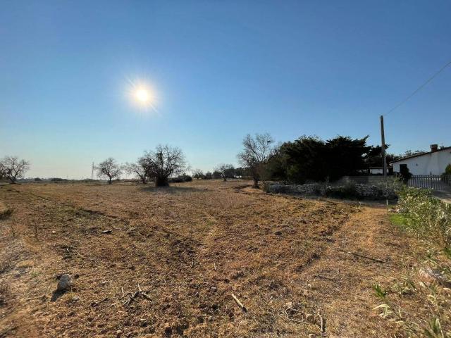Terreno in vendita a Puglia, Lecce