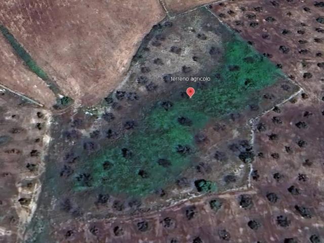 Terreno in vendita a Puglia, Lecce