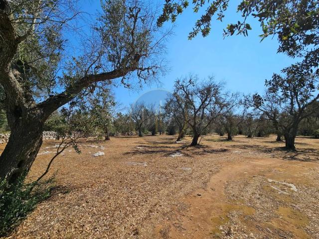 Terreno in vendita a Puglia, Lecce