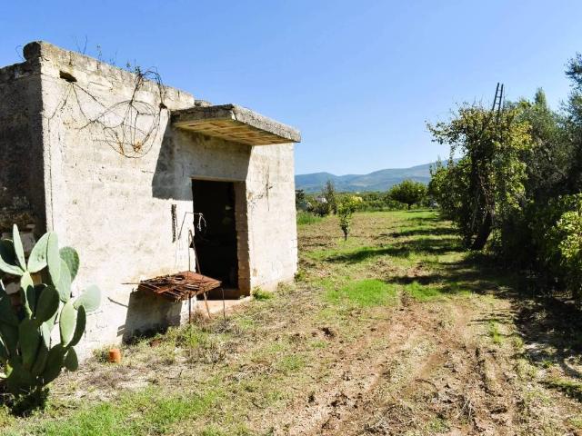 Terreno in vendita a Puglia, Foggia
