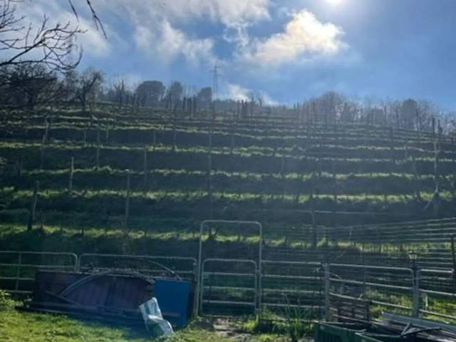 Terreno in vendita a Bonascola, Carrara