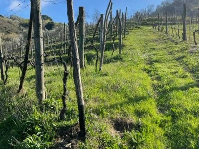 Terreno in vendita a Bonascola, Carrara