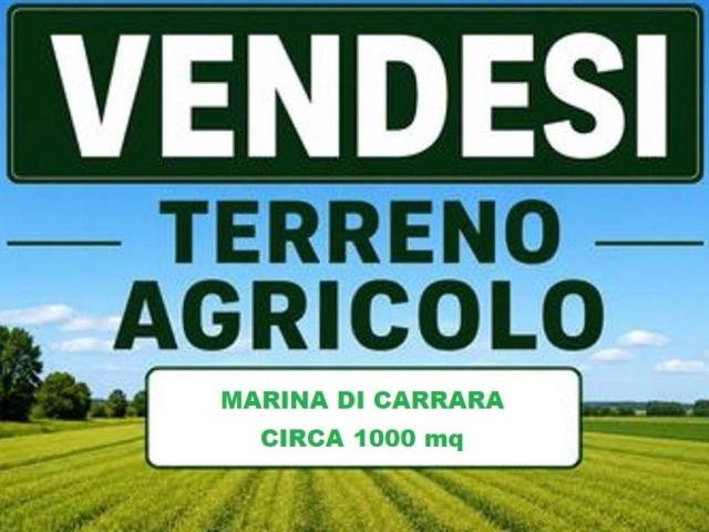 Terreno in vendita a Marina di Carrara, Carrara